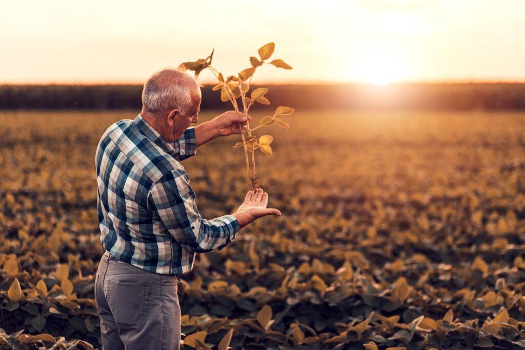 ESAD: Multi-stakeholder platform on the future of EU agricultural R&I