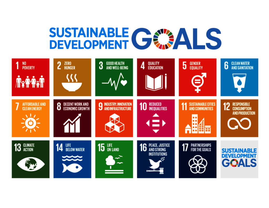 IEEP and UN SDSN join forces to advance the EU monitoring of SDGs