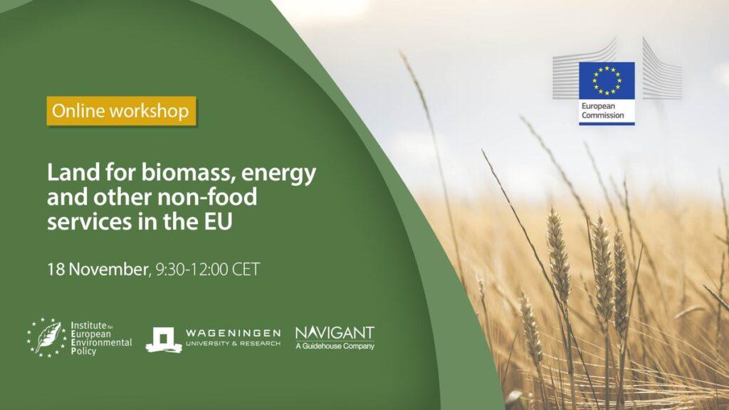 Land availability for biomass, energy and other non-food services in the EU: Event summary