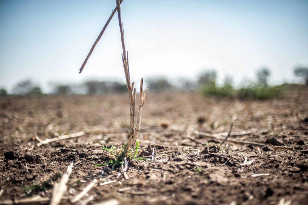 World day to combat desertification and drought: What it means for Europe