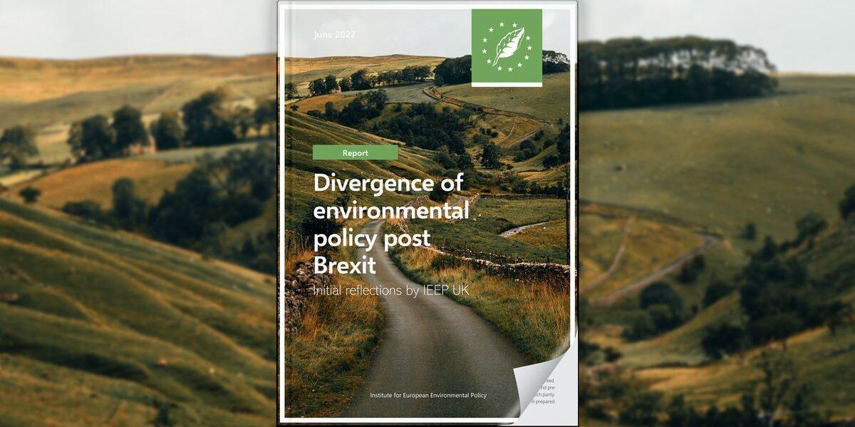 Divergence in environmental policy post Brexit: Some initial reflections