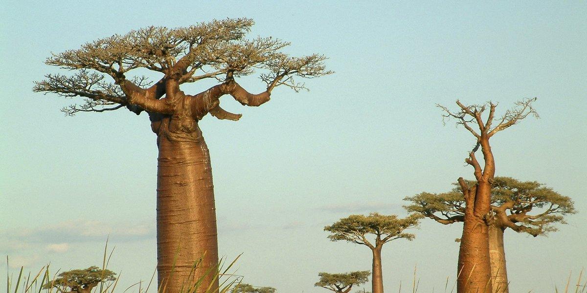Sectoral Resource Mobilisation To Implement Global Biodiversity Targets Ieep Aisbl Sectoral Resource Mobilisation To Implement Global Biodiversity Targets Ieep Aisbl