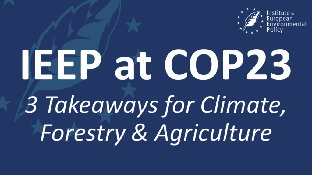 IEEP at COP23: 3 Takeaways for Climate, Forestry and Agriculture