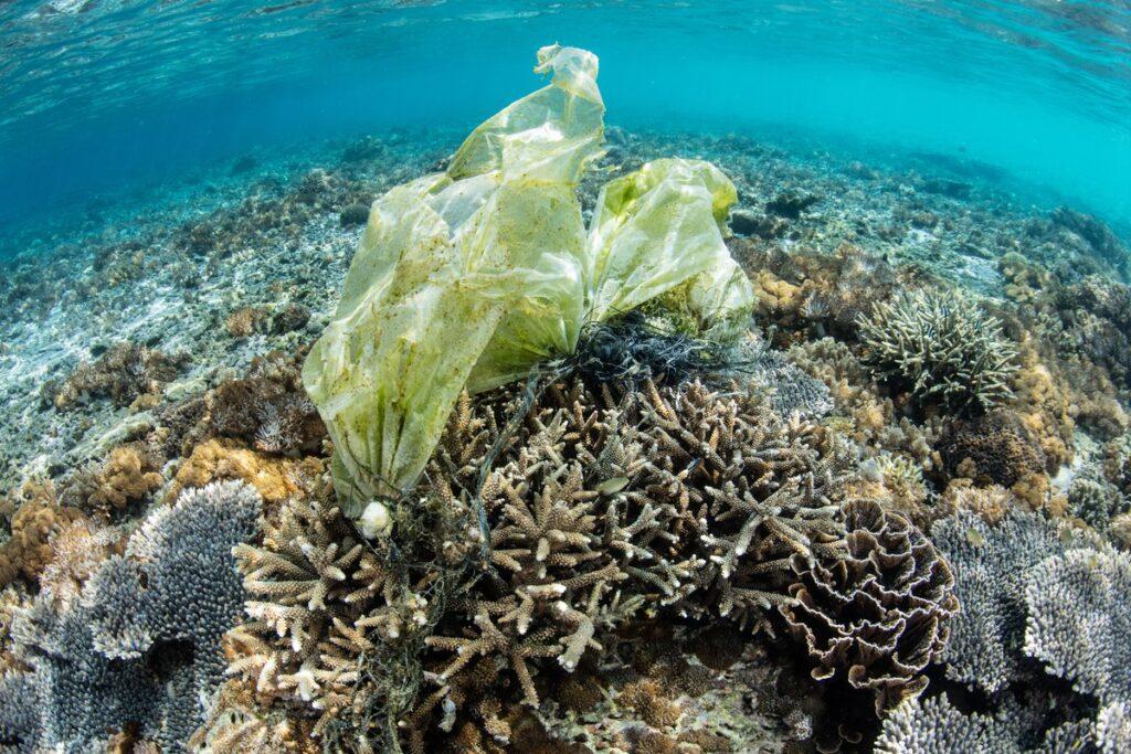IEEP contributes to free online course on marine litter for United Nations Environment