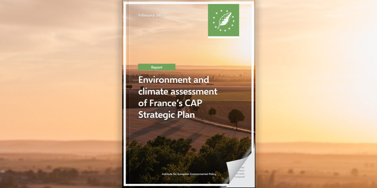 Environment and climate assessment of France’s CAP Strategic Plan