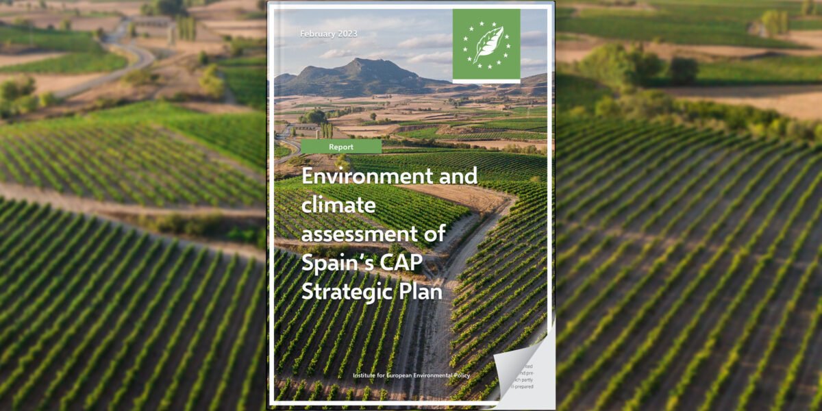 Environment and climate assessment of Spain’s CAP Strategic Plan