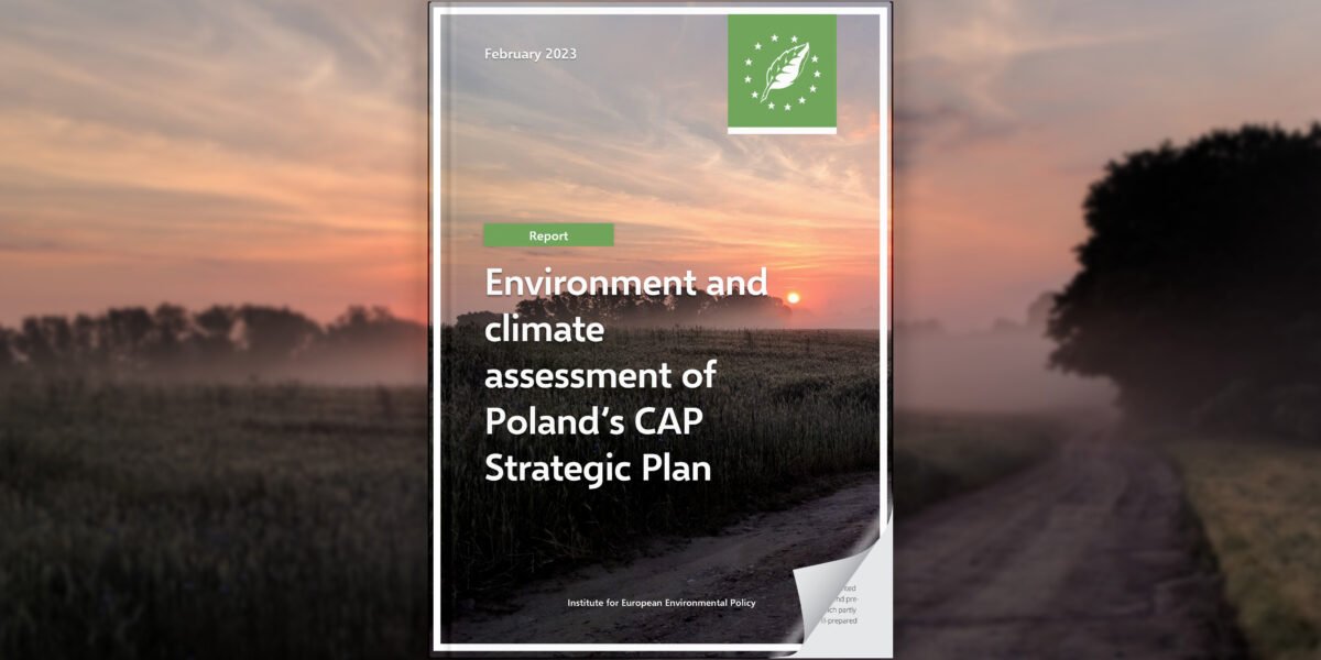 Environment and climate assessment of Poland’s CAP Strategic Plan