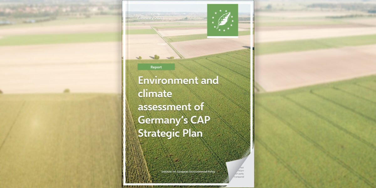 Environment and climate assessment of Germany’s CAP Strategic Plan