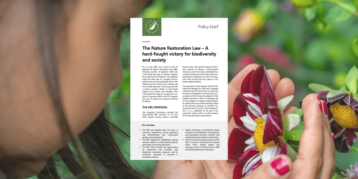 The Nature Restoration Law – A hard-fought victory for 