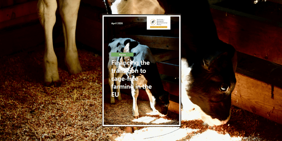 Cage-free transition