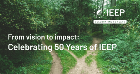 50 years of IEEP