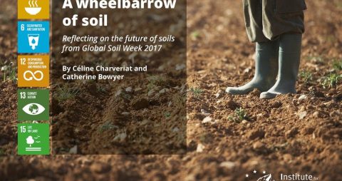 A wheelbarrow of soil