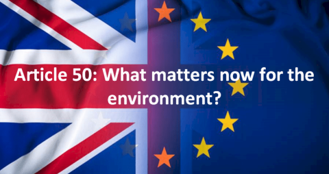 Article 50: What matters now for the environment?