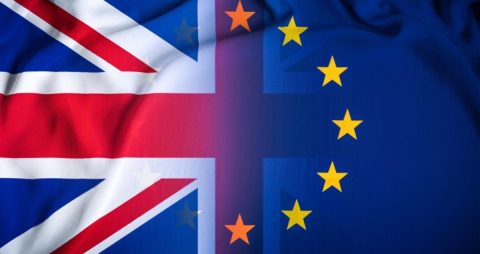 Brexit and its implications for EU environmental policy- speech by Nigel Haigh