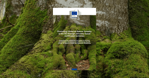 CNF - European Commission report