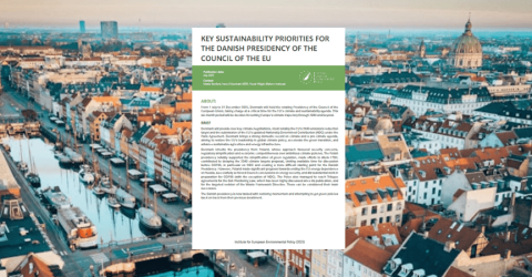Danish Presidency