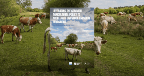 EDF report (1)