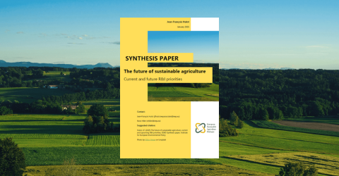 ESAD Synthesis paper