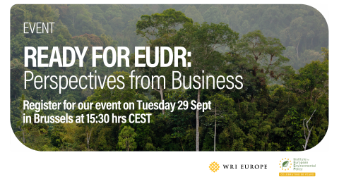 EUDR_Event Landscape_banner_White