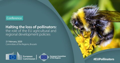 Event | Halting the loss of pollinators: Role of EU agricultural and regional development policies