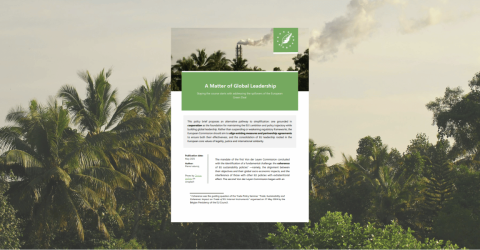 External impacts of EU Green Deal