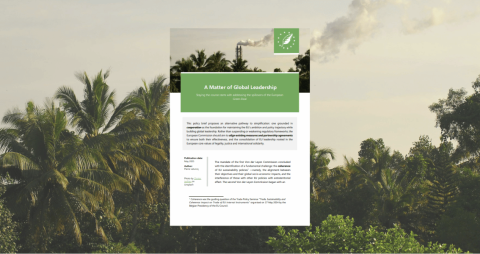 External impacts of EU Green Deal
