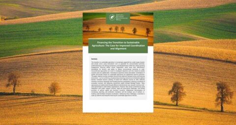 Financing the Transition