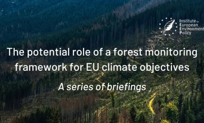 Forestry and climate