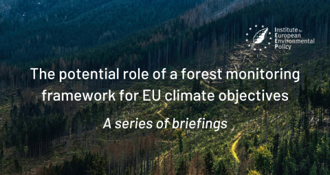 Forestry and climate