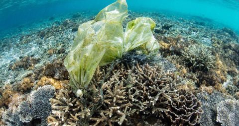 G20 adopts T20 recommendations on plastics and marine litter