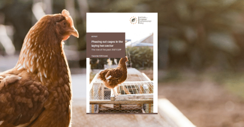 Hen cage