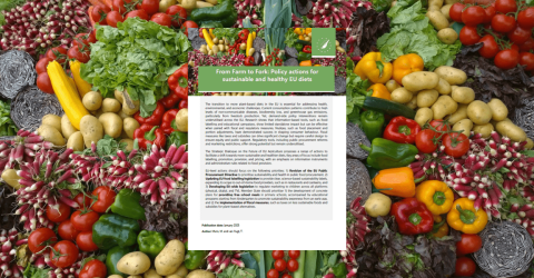 IEEP Sustainable diets