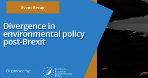 IEEP-UK-Event-recap-divergence-in-environmental-policy-post-brexit