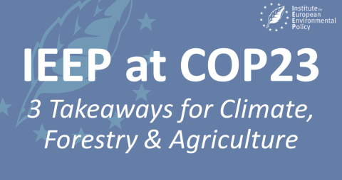 IEEP at COP23: 3 Takeaways for Climate, Forestry and Agriculture