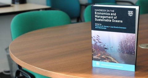IEEP contributes to UN handbook on economics and management of sustainable oceans