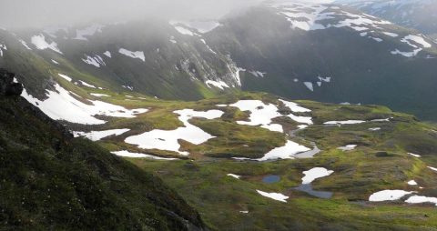 In our backyard: A melting Arctic is so much more than melting icebergs