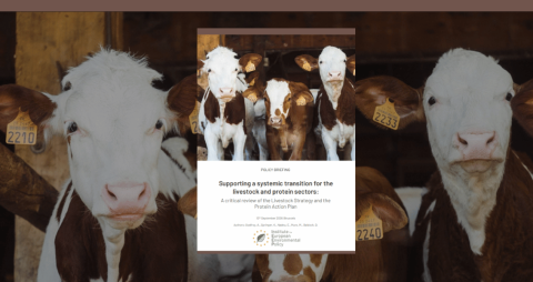 Livestock