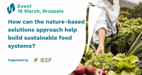 Network Nature IEEP event 18 March (1)