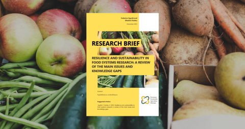 RESILIENCE AND SUSTAINABILITY IN FOOD SYSTEMS RESEARCH report IEEP (2023)