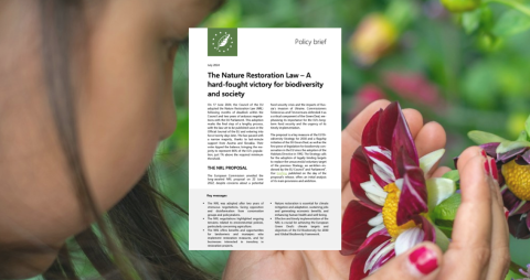 The Nature Restoration Law – A hard-fought victory for biodiversity and society