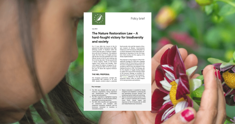 The Nature Restoration Law – A hard-fought victory for biodiversity and society