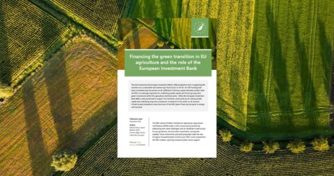 The role of the EIB in financing the green transition in EU agriculture