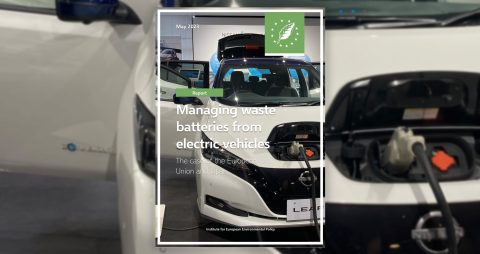 Waste Batteries from EVs