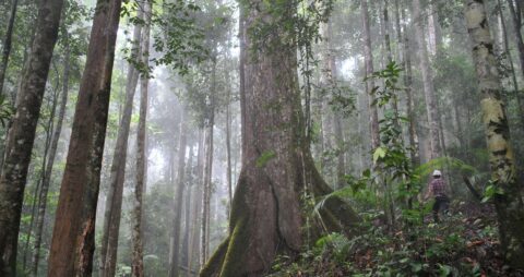 ken-shono-S35PpgCIjis-unsplash