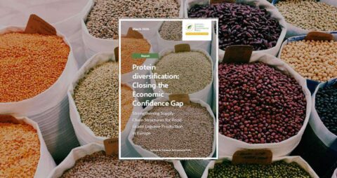 protein diversitifcation